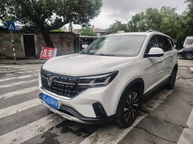 Fengxing T5, 2018