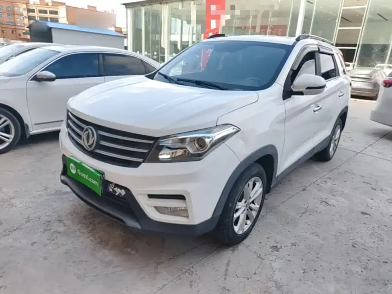 Fengguang S560, 2019