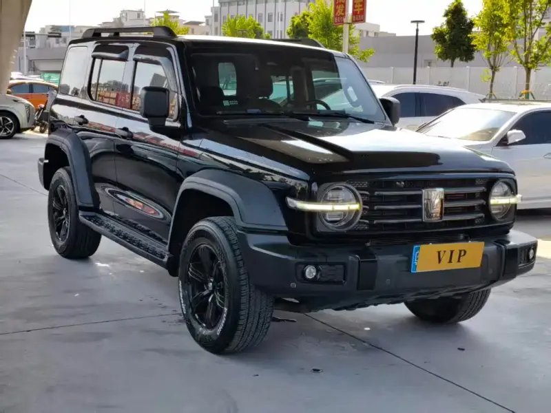 Tank 300, 2021