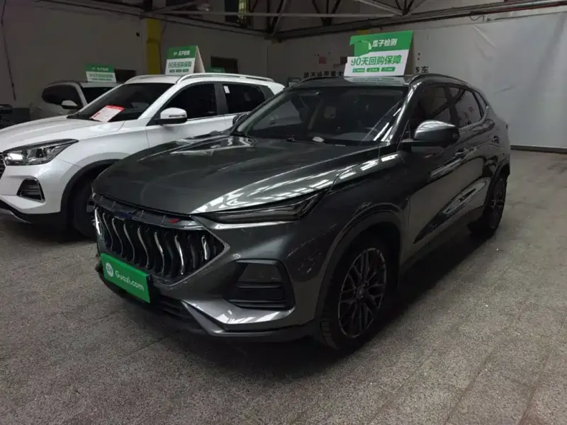 Oshan Oushang X5, 2021