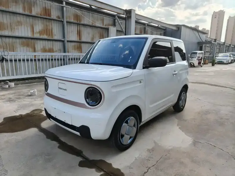Galaxy Panda, 2023