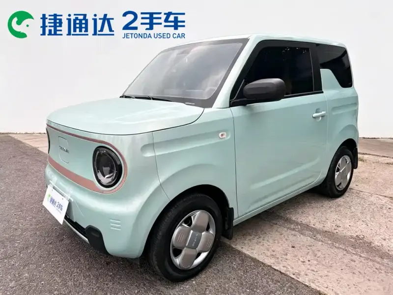 Galaxy Panda, 2024