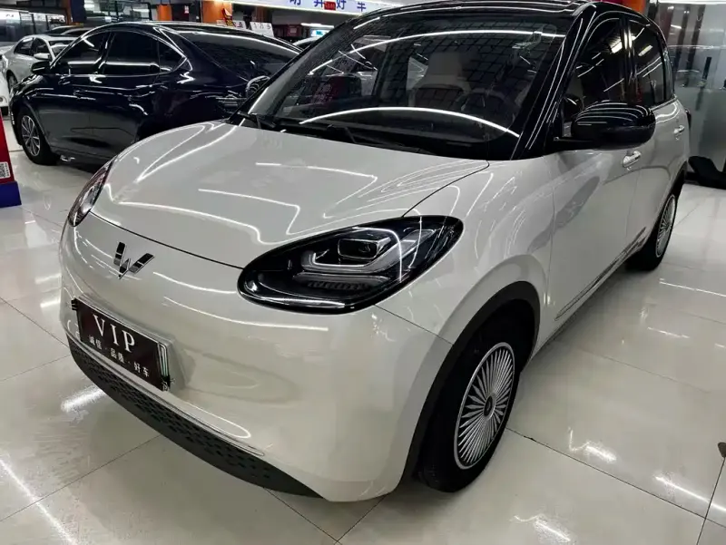 Wuling Bingo, 2023