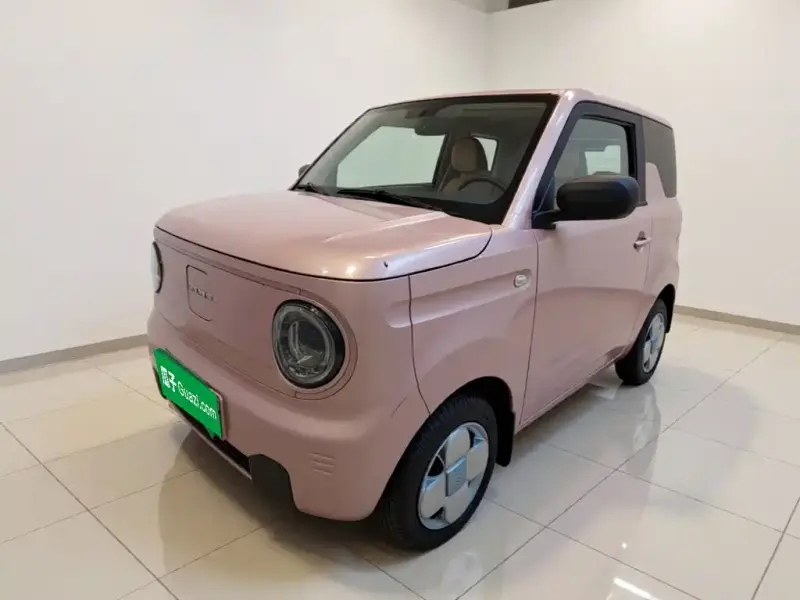 Galaxy Panda, 2024