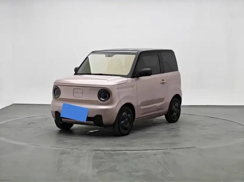 Galaxy Panda, 2024