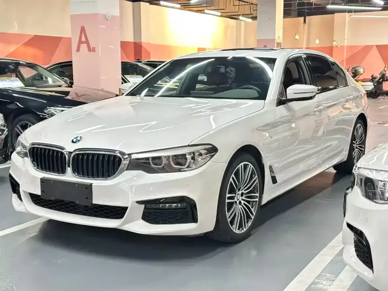 BMW 5 Series BMW 5 Series 2019 530Li Leading Type M Sport Package, 2019 — фото 1