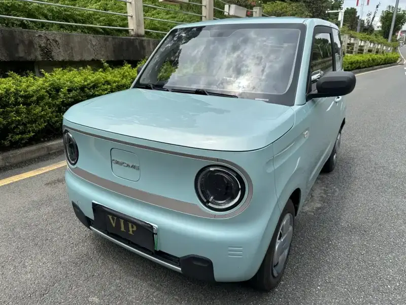 Galaxy Panda, 2023