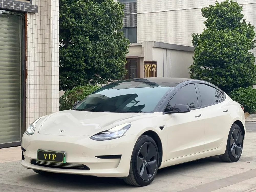 Tesla Model 3 Standard Range RWD Upgraded Edition, 2019 — фото 1