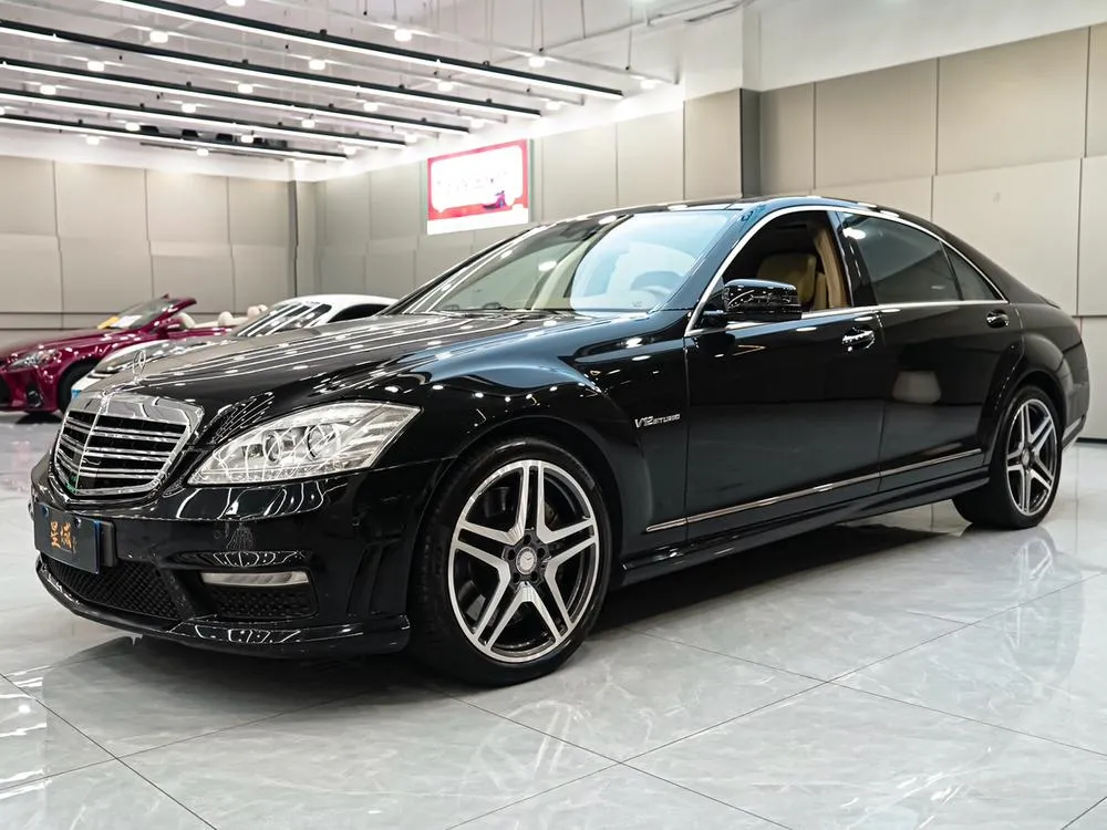 Mercedes-Benz S-Class AMG AMG S 65, 2010 — фото 1