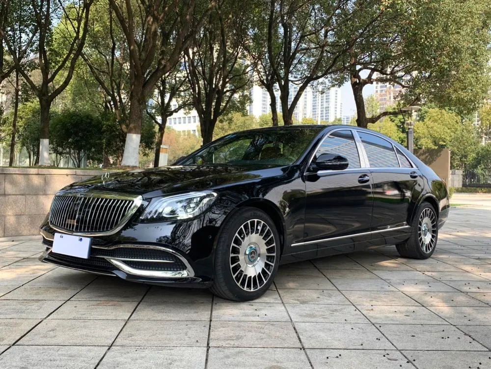 Mercedes-Benz S-Class S 600 L, 2008 — фото 1