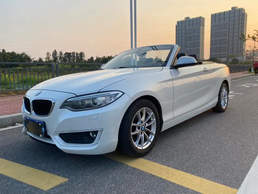 BMW 2-Series (Import), 2015