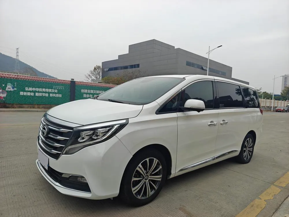 GAC Trumpchi Trumpchi M8 320T Ultimate Edition, 2019 — фото 1