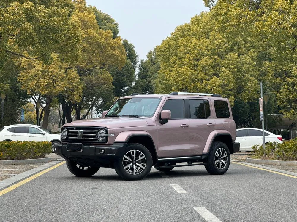 Tank 300, 2021