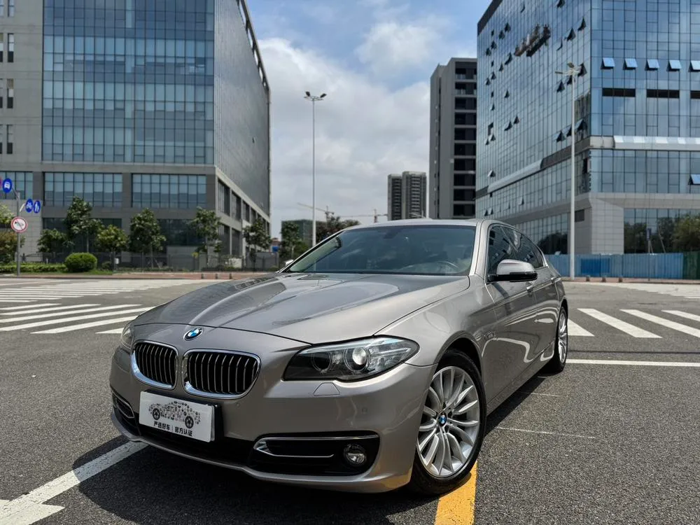 BMW 5-Series 525Li Luxury, 2017 — фото 1