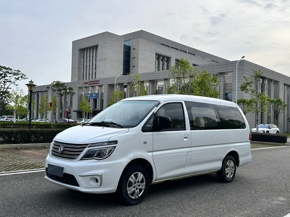 Dongfeng Fengxing Lingzhi, 2020