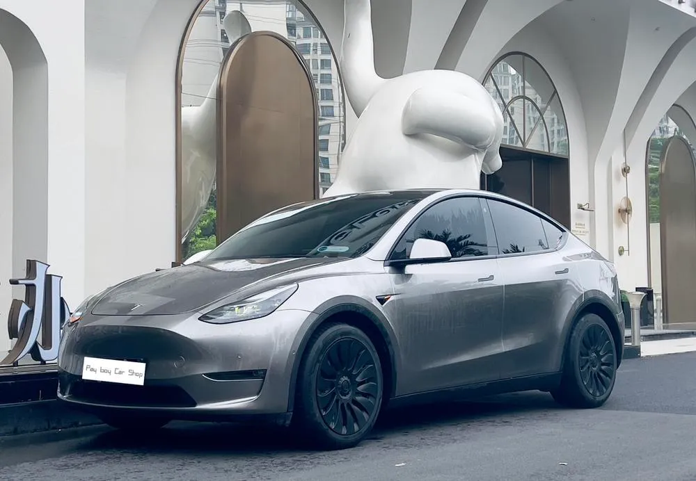 Tesla Model Y, 2021