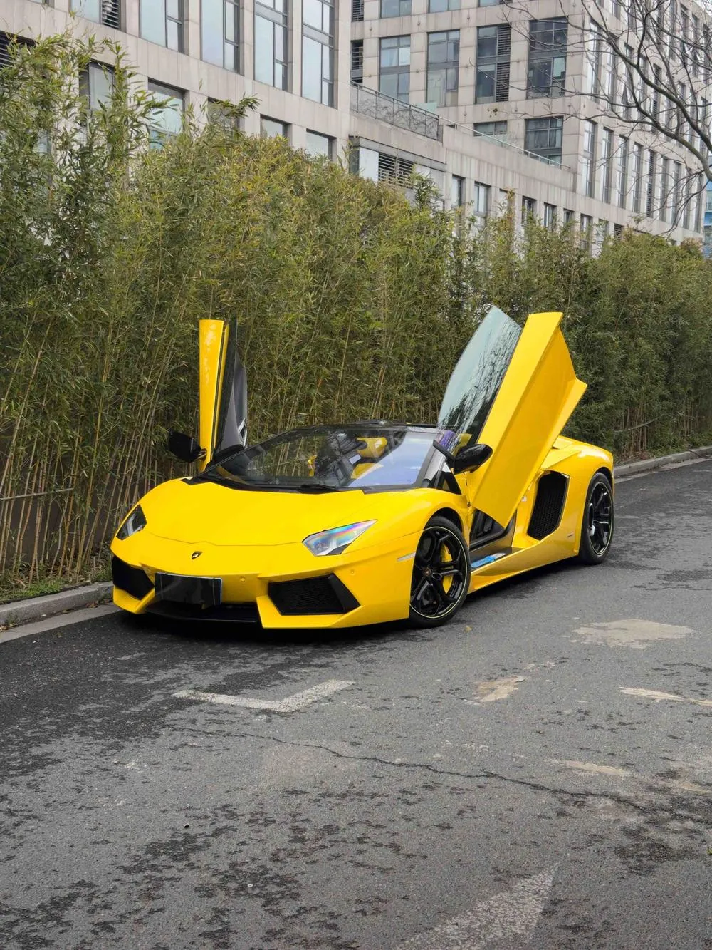 Lamborghini Aventador, 2013