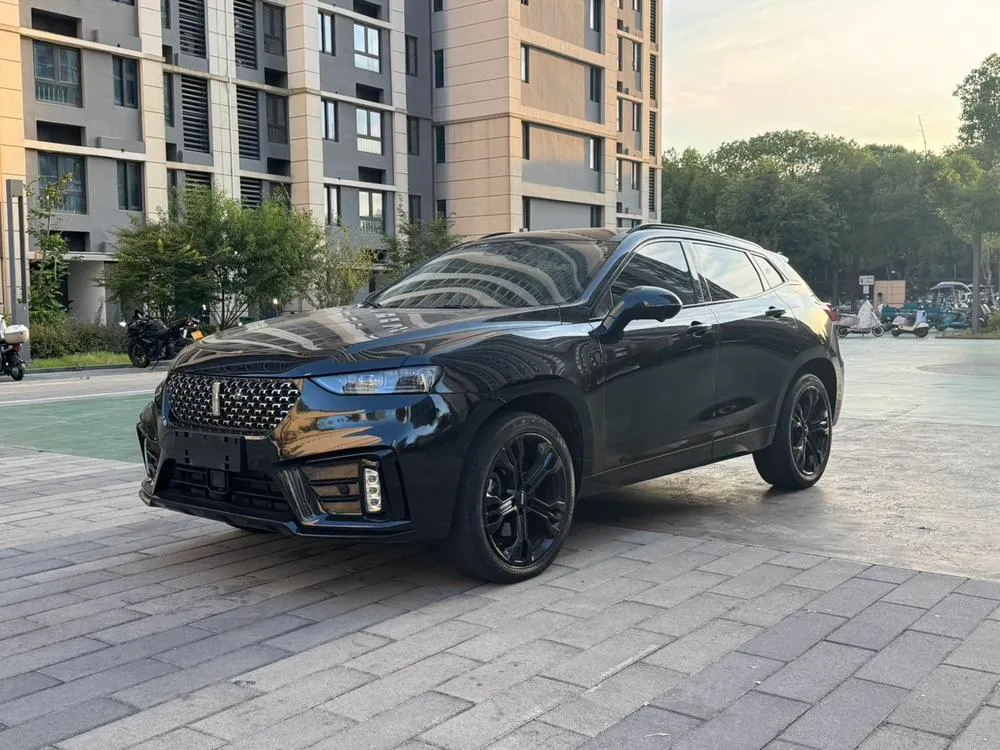 Wey VV7 2.0T Flagship Version, 2020 — фото 1