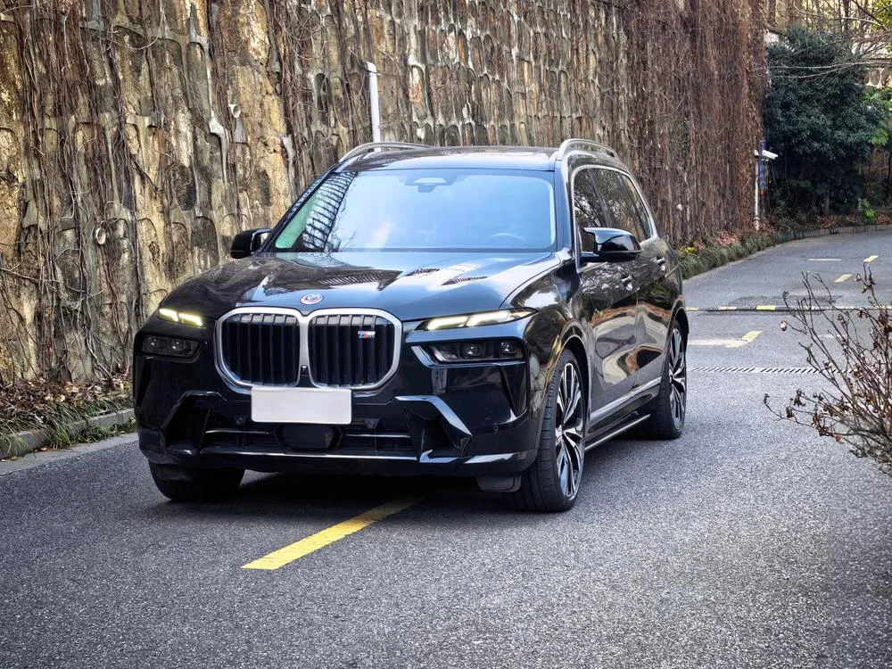 BMW X7 xDrive M60i, 2023 — фото 1