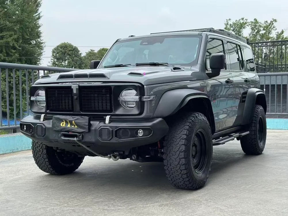 Tank 300, 2021