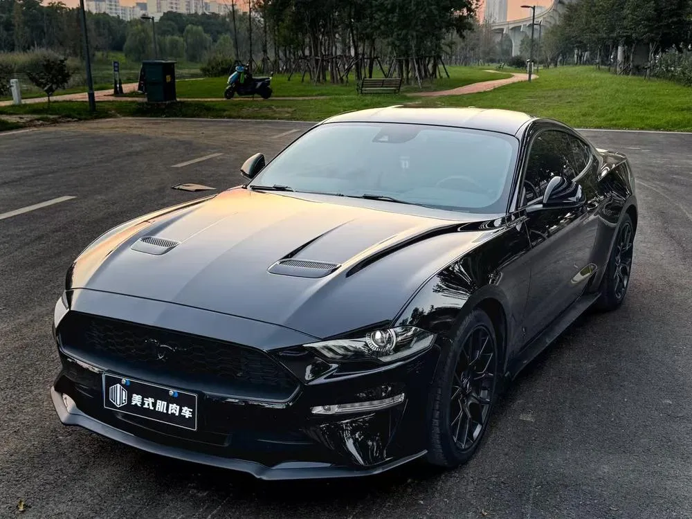 Ford Mustang 2.3T EcoBoost, 2019 — фото 1