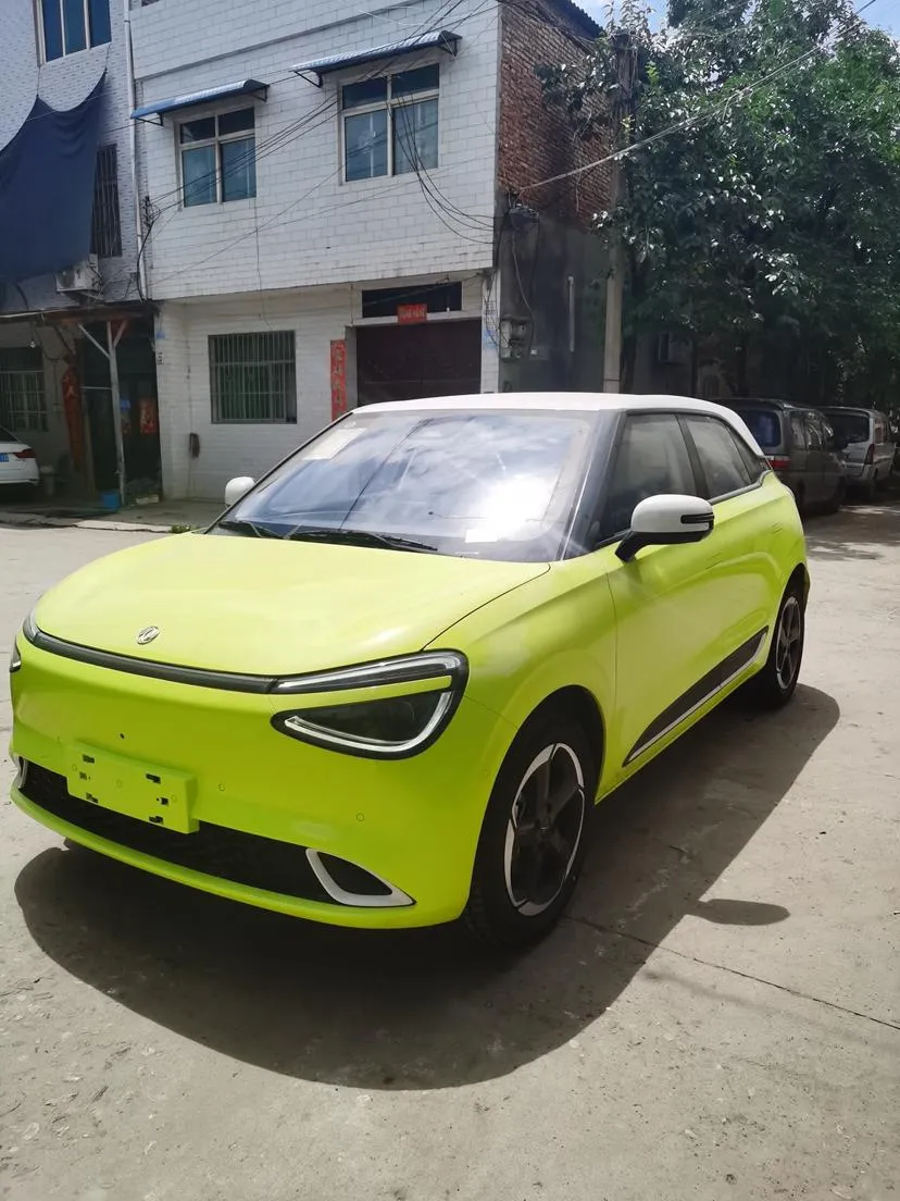 Dongfeng Yipai Nami 01, 2024