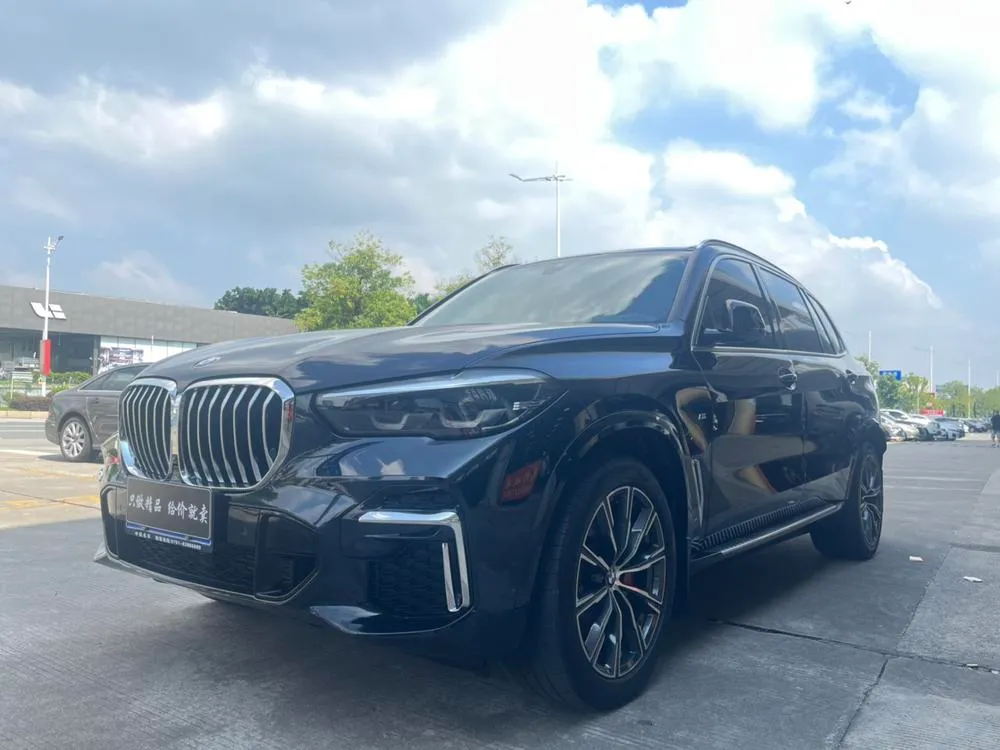 BMW X5 Facelift xDrive 30Li M Sport, 2022 — фото 1