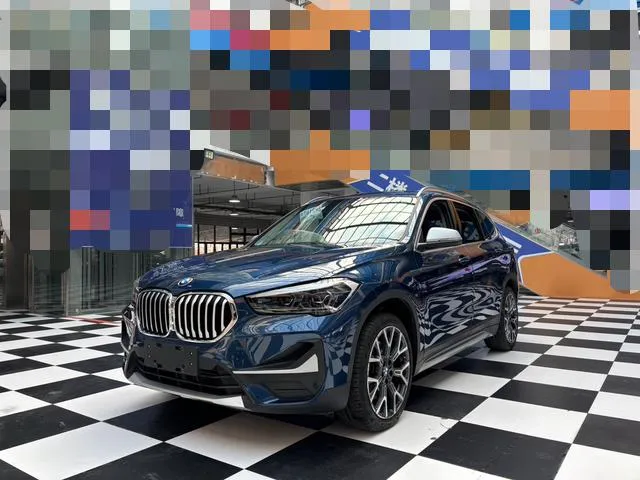 BMW X1 xDrive25Li Prestige Version, 2021 — фото 1