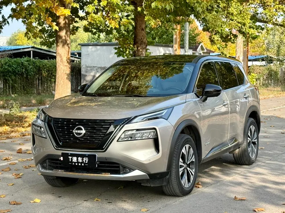 Nissan X-Trail e-POWER Dual Motor 4WD Luxury Edition, 2023 — фото 1