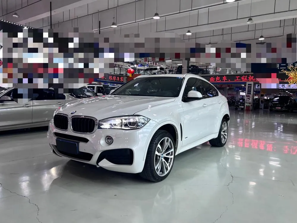 BMW X6 xDrive35i M Sport Luxury Version, 2018 — фото 1