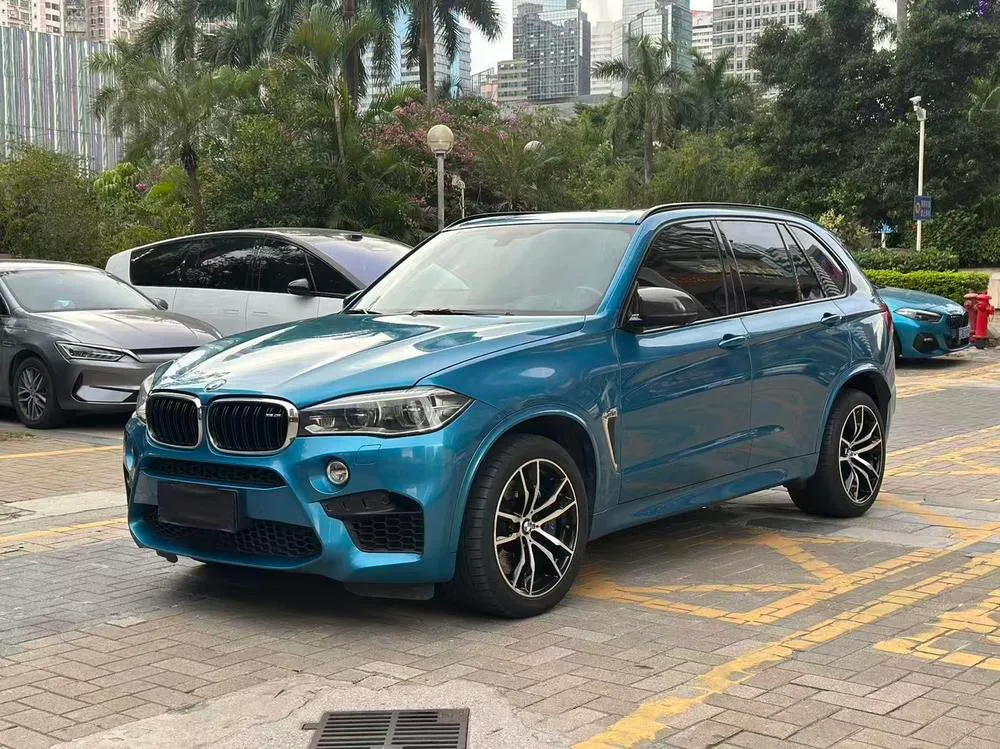 BMW X5 M X5 M, 2015 — фото 1