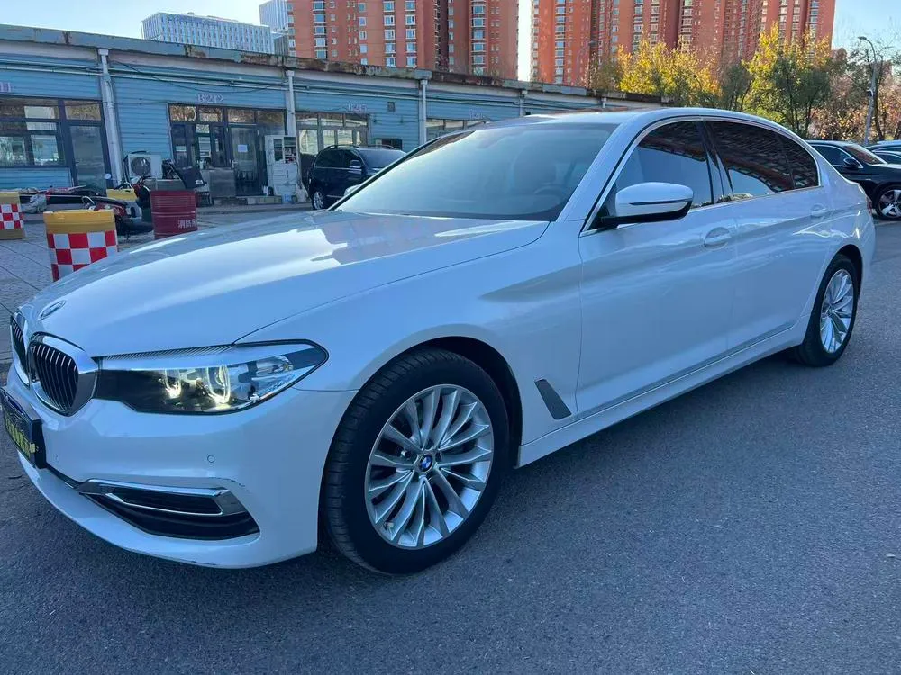 BMW 5-Series 525Li Luxury, 2020 — фото 1