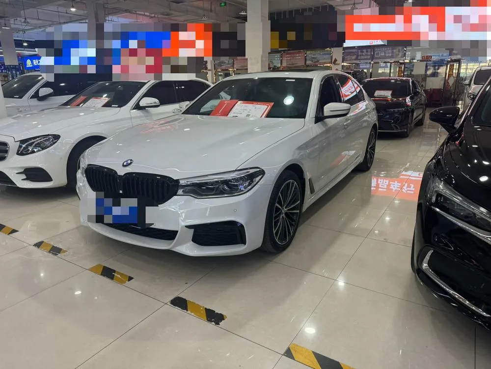 BMW 5-Series 530Li xDrive M Sport, 2020 — фото 1