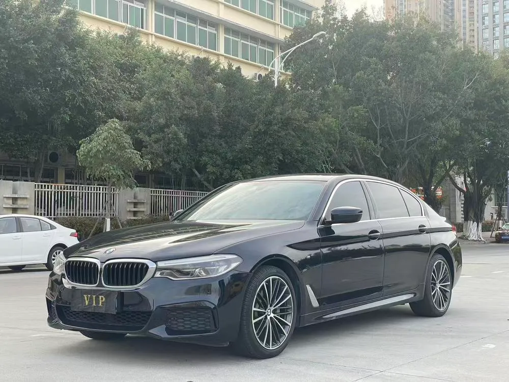 BMW 5-Series, 2020