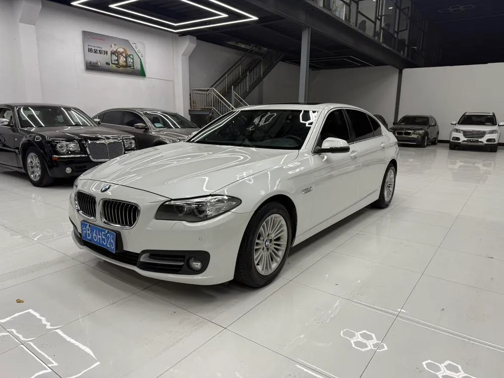 BMW 5-Series 525Li Leading Version, 2014 — фото 1