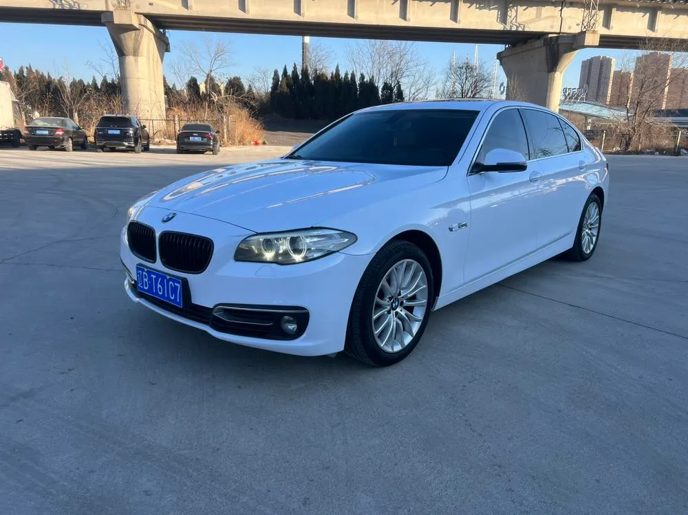 BMW 5-Series 525Li Edition, 2013 — фото 1