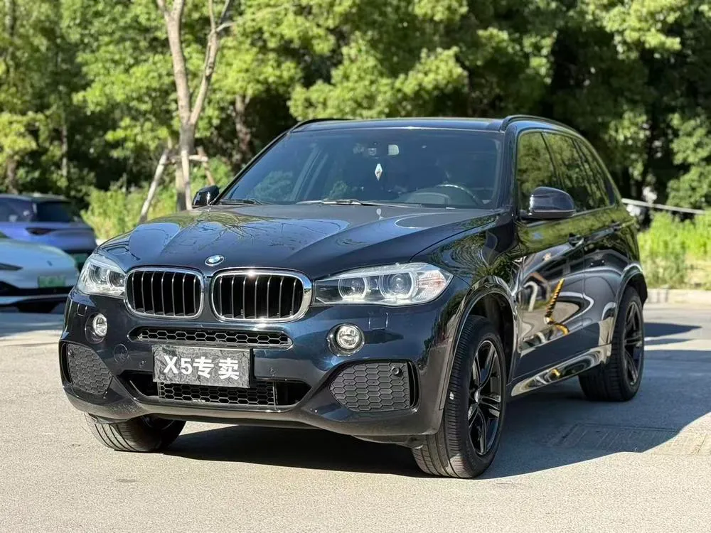BMW X5 (Import) xDrive35i M Sport Version, 2017 — фото 1