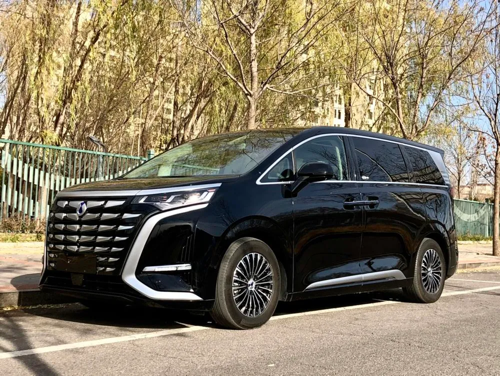 Denza D9 DM, 2022