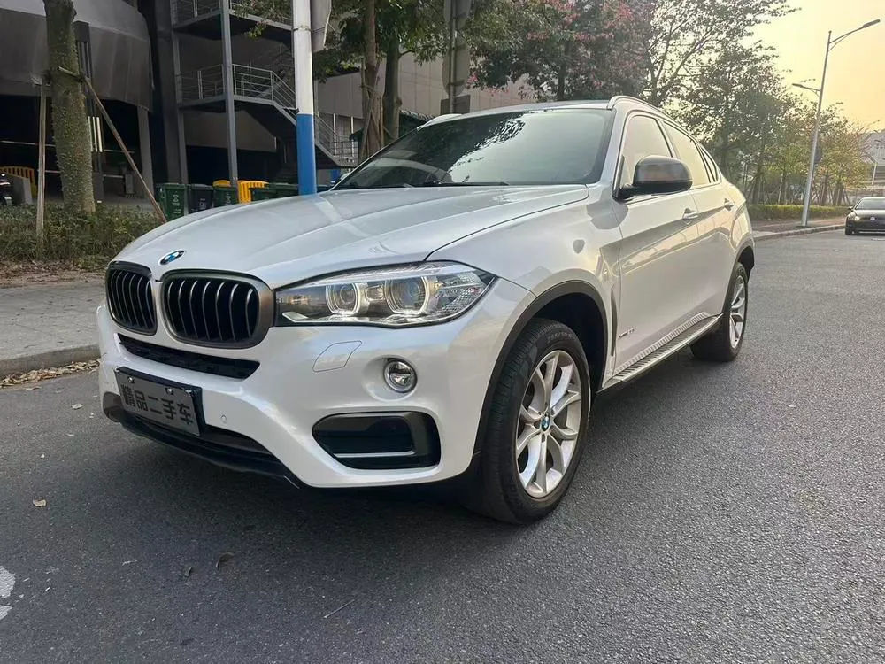 BMW X6 xDrive28i, 2017 — фото 1