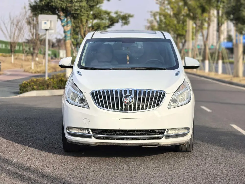 Buick GL8 2.4L LT Luxury Business Edition, 2011 — фото 1