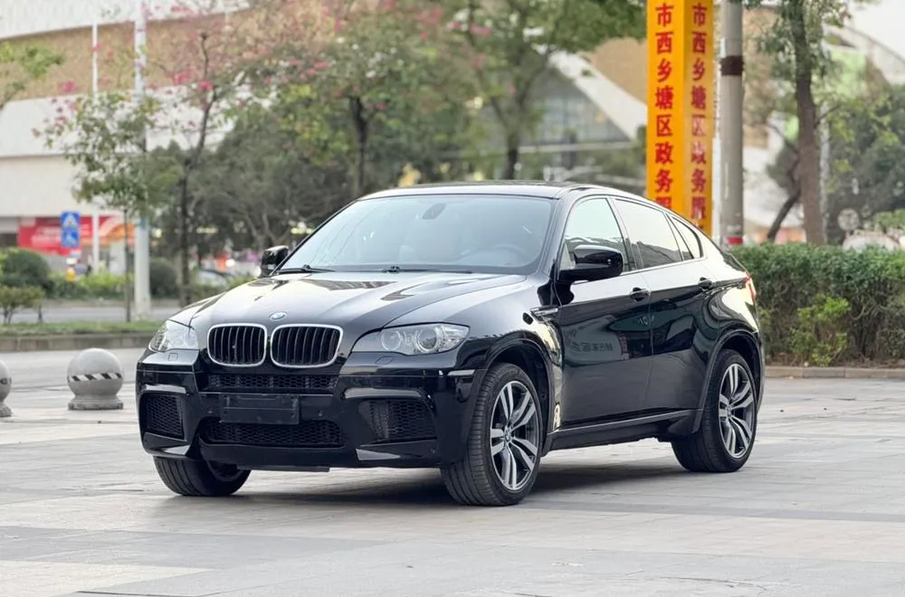 BMW X6 M, 2010