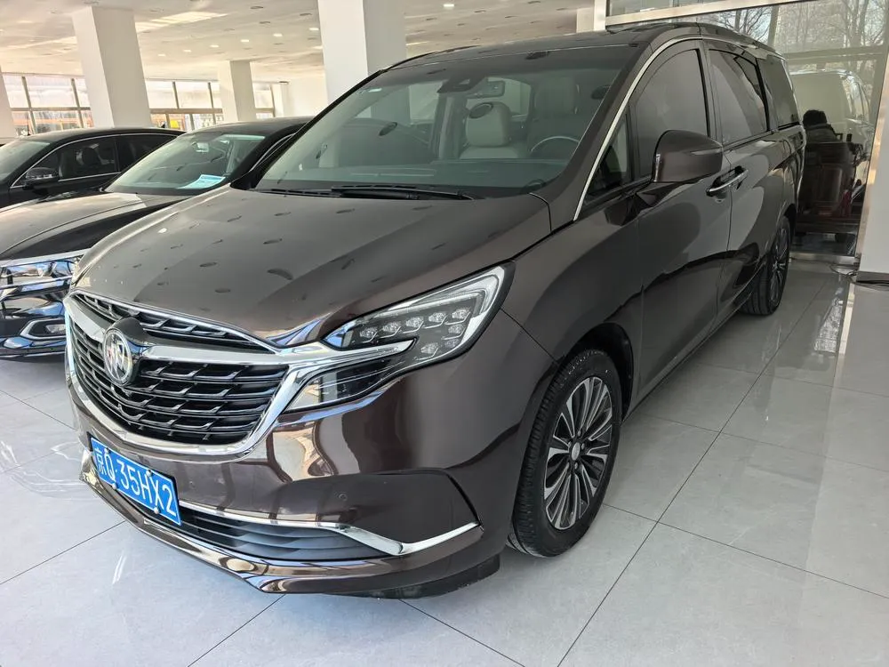 Buick GL8 ES Premium 653T Luxury Version, 2020 — фото 1