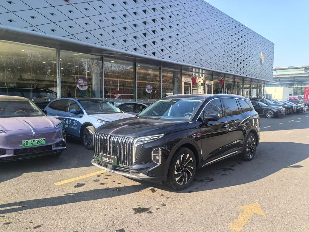 Hongqi HS7 PHEV 2.0T 4WD Smooth Edition 6 Seater, 2024 — фото 1