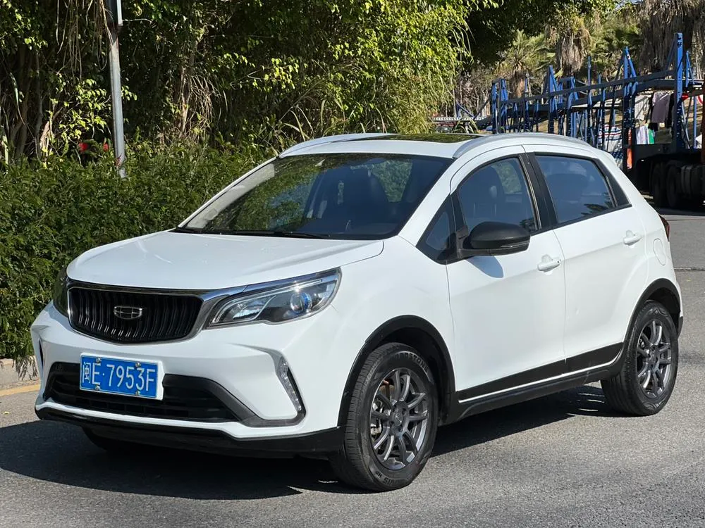 Geely Yuanjing X3, 2021