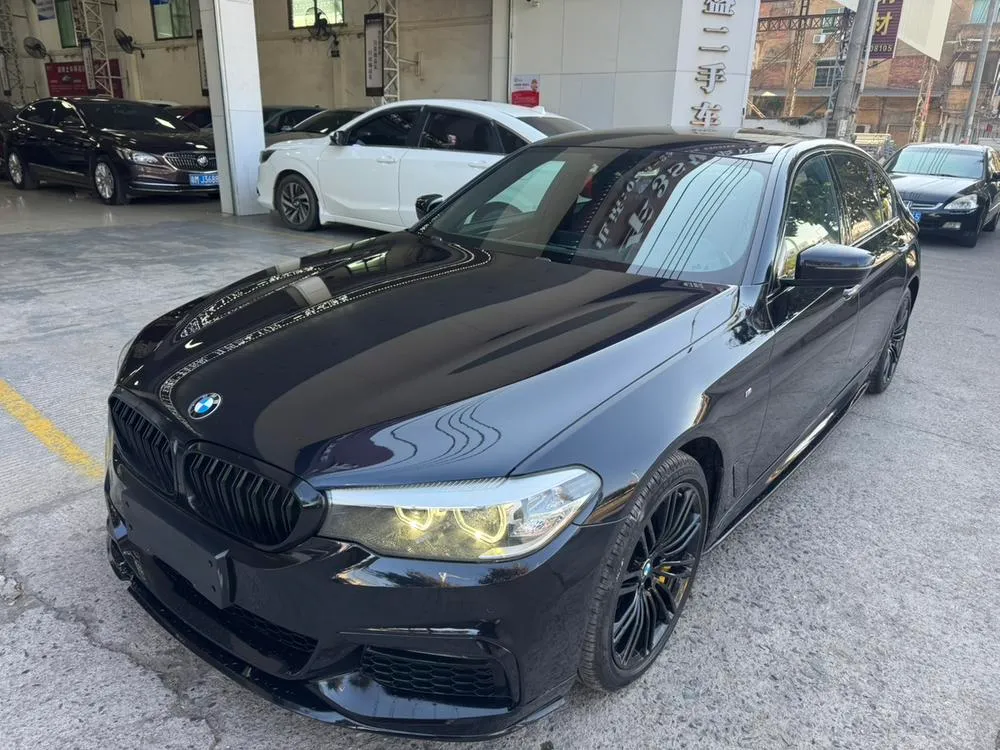 BMW 5-Series 530Li Leading Version M Sport, 2018 — фото 1