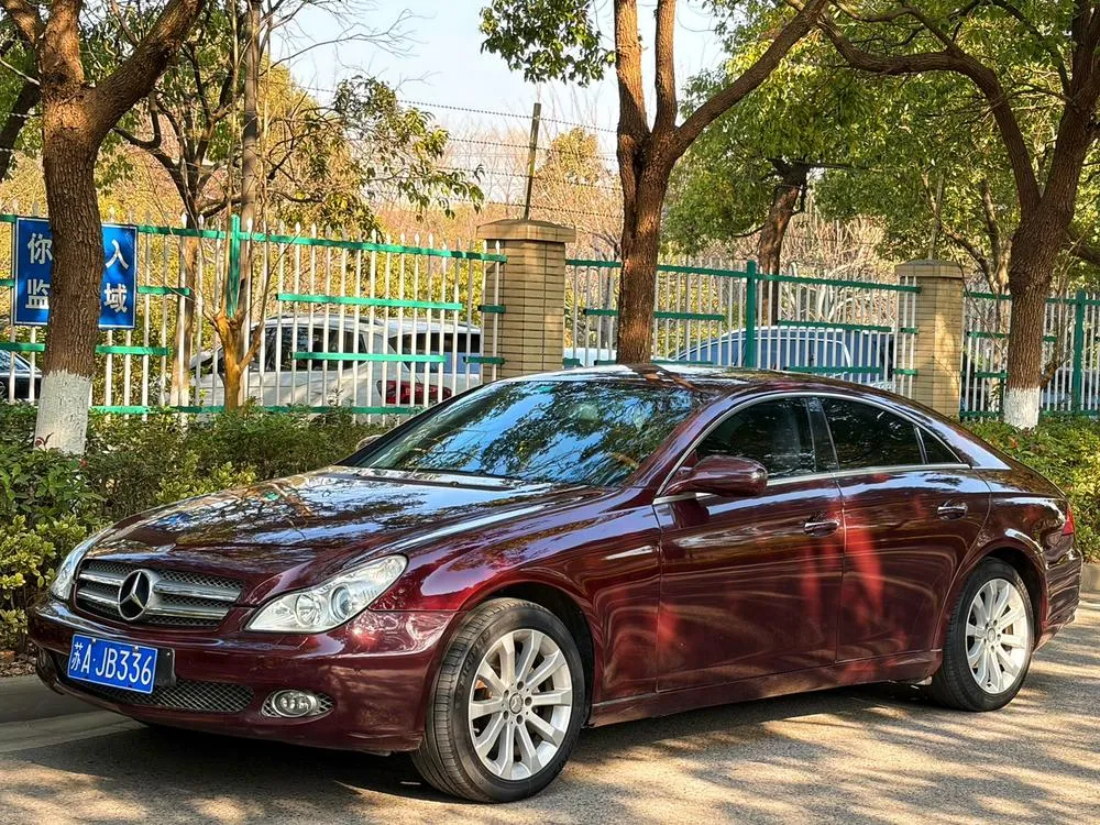 Mercedes-Benz CLS CLS 300, 2009 — фото 1