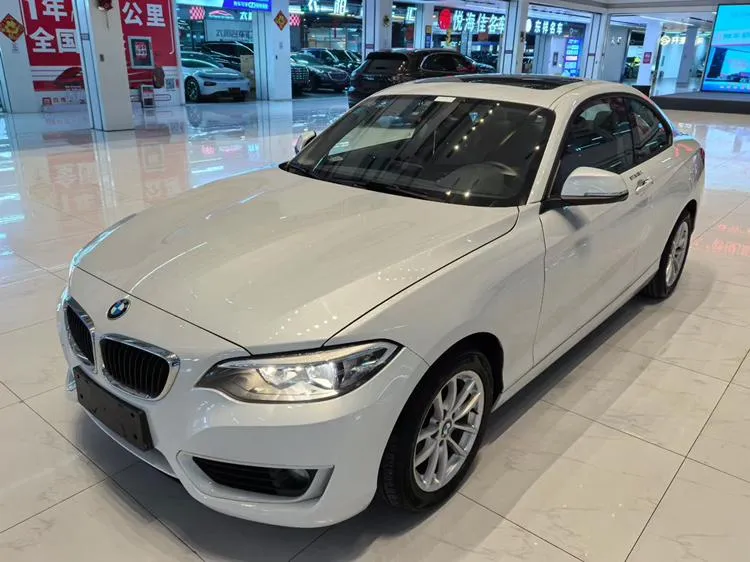 BMW 2-Series (Import) 218i, 2015 — фото 1