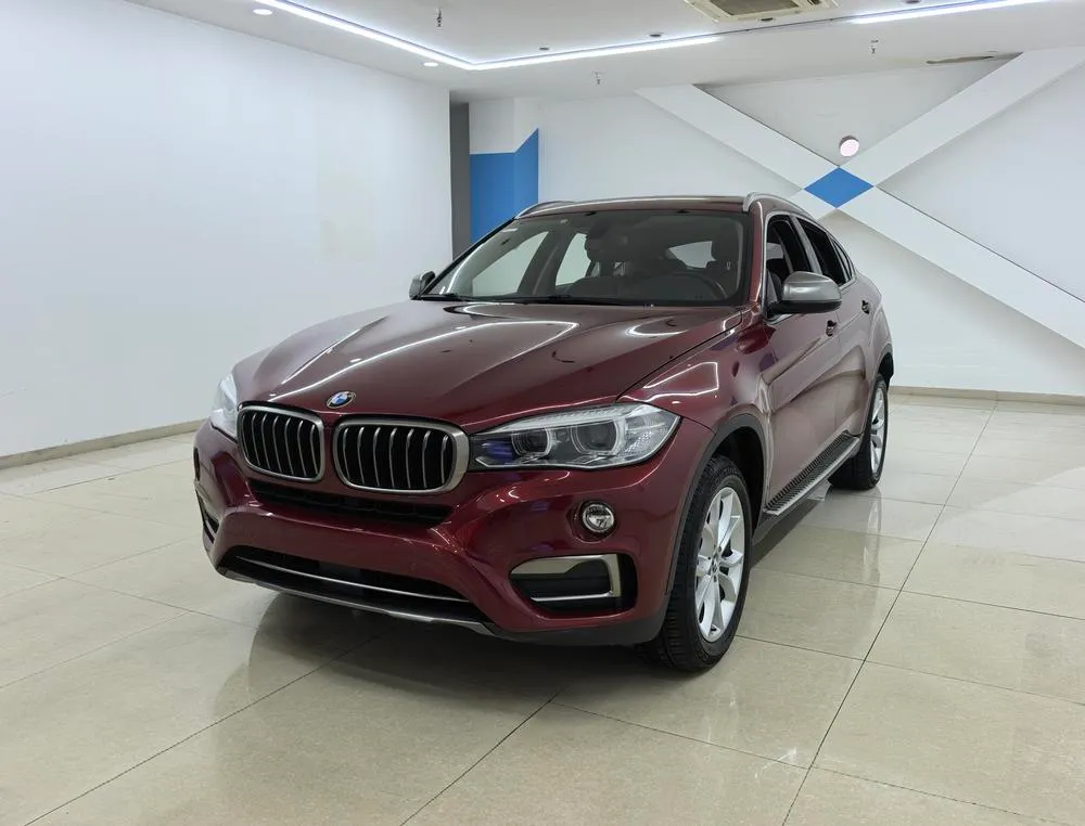 BMW X6 xDrive28i, 2018 — фото 1