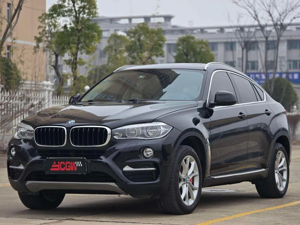 BMW X6 xDrive35i Leading Version, 2015 — фото 1