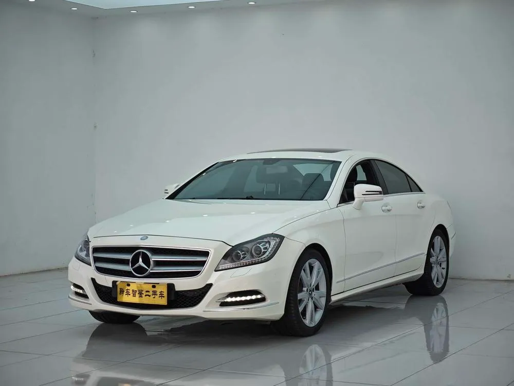 Mercedes-Benz CLS CLS 300 CGI, 2012 — фото 1
